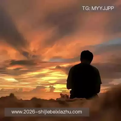 董治鹤